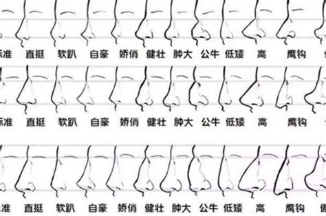 鼻子风水|相学最有福气的7种鼻子 面相中最有福气的7种鼻子